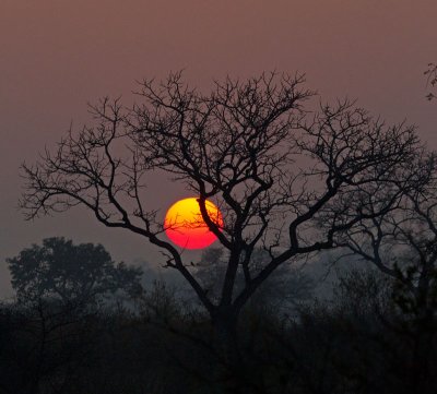 Sunset at Londolozi