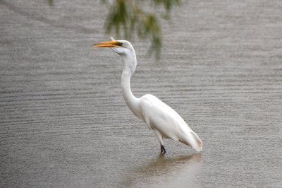 Lake Hefner, Sept 12, 2009