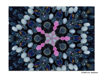 Kaleidoscope Hollyhock