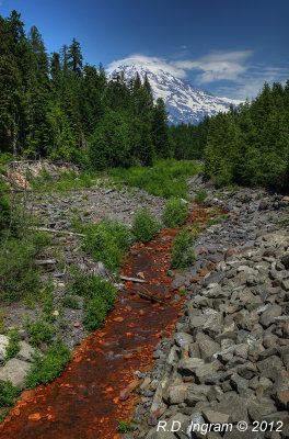 DSC08310_Mt_Rainier_Creek_hdr.jpg