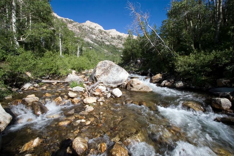 Lamoille Canyon