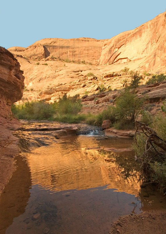 Negro Bill Canyon