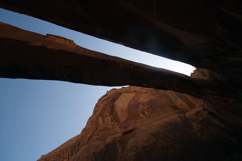 Morning Glory Arch