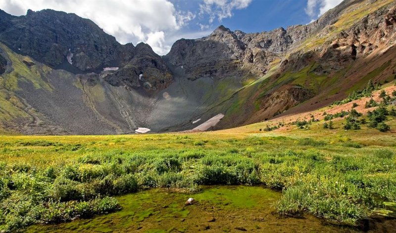 Velocity Basin