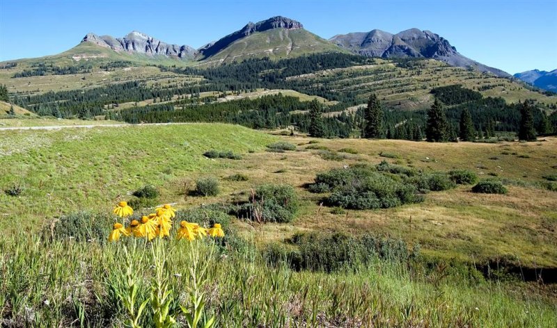  Molas Pass