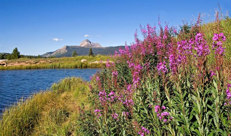 Molas Lake