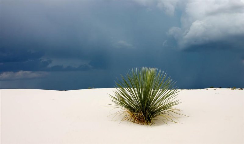 White Sands NM