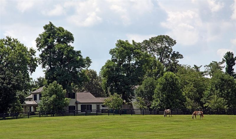 Versailles  Horse Farm