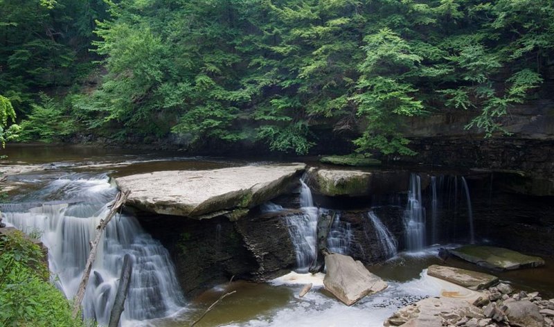 Tinkers Creek