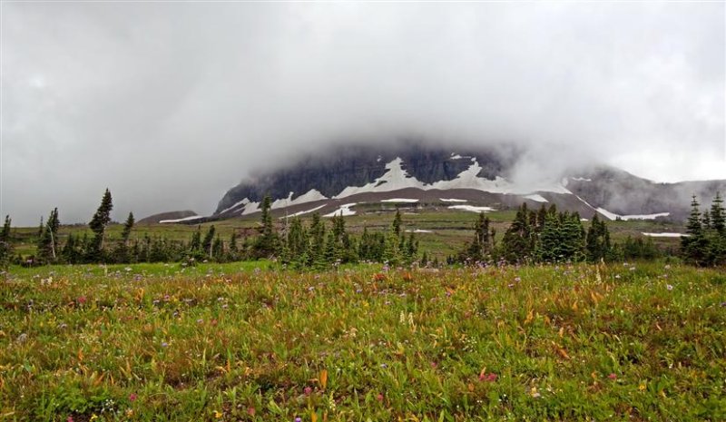 Logan Pass