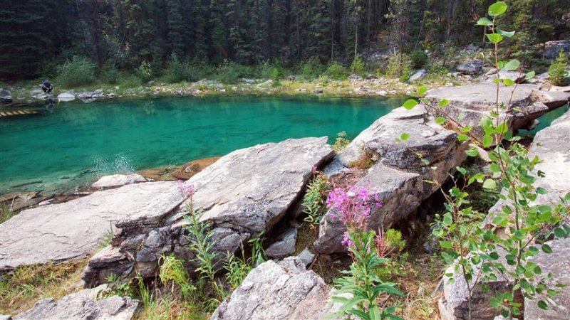Horseshoe Lake, Jasper