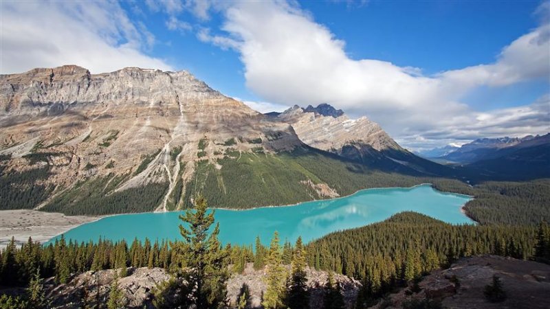  Peyto Lake, Banff