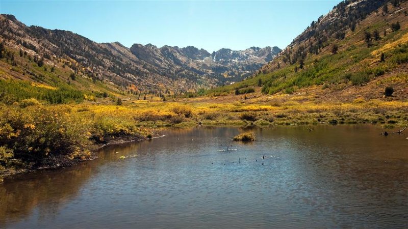 Lamoille Canyon