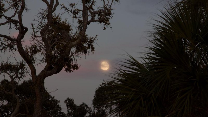  Cedar Key