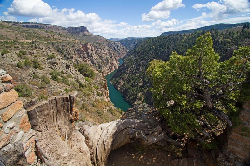 Black Canyon