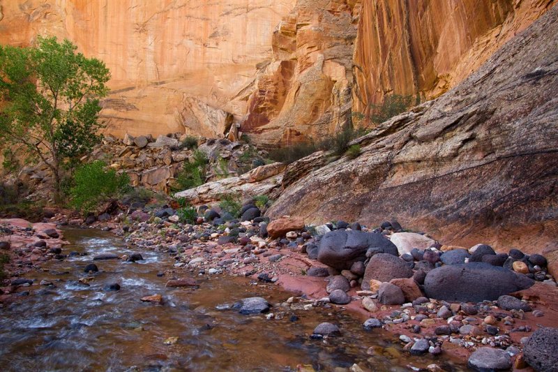 Pleasant Creek