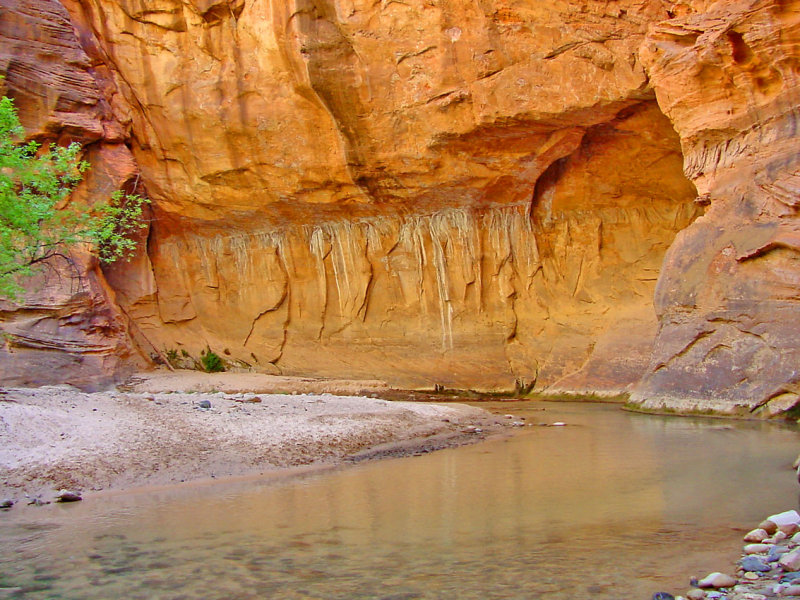 The Narrows 5