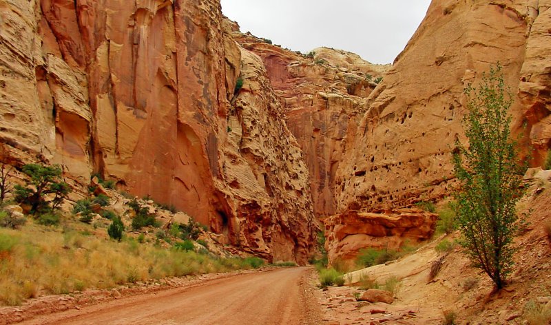 Canyon Trail