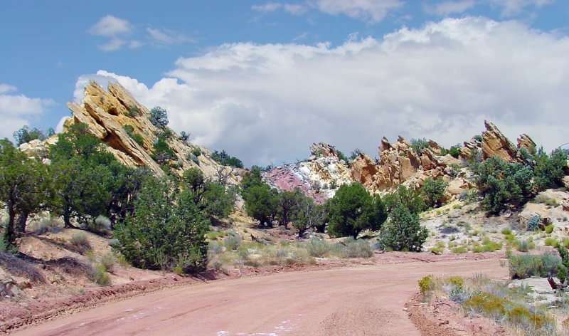 Desert Trail