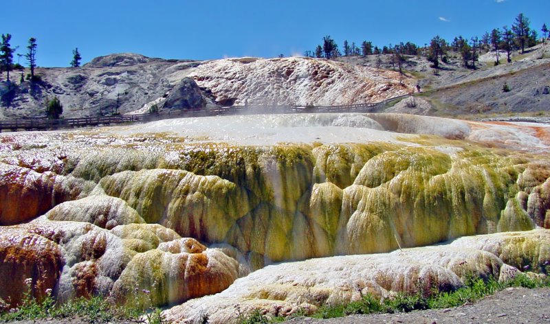 Mammoth Hot Springs 