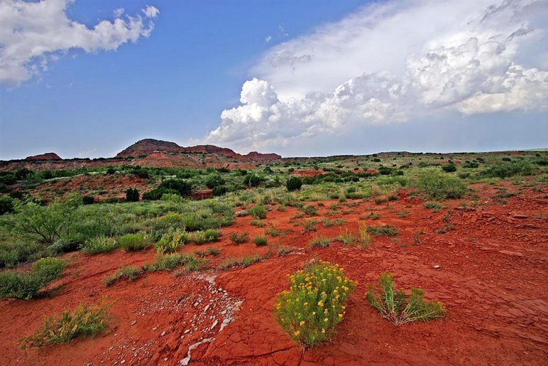  Caprock Canyons SP