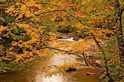 Tellico River