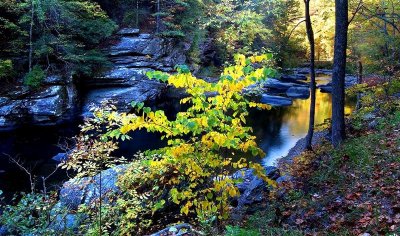  Tellico River