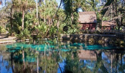 Juniper Springs 2