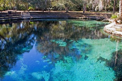 Juniper Springs 3