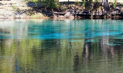 Silver Glen Springs 3