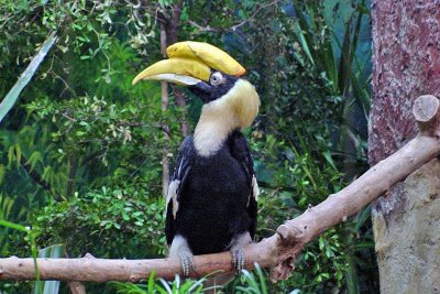 National Aviary, Pittsburgh