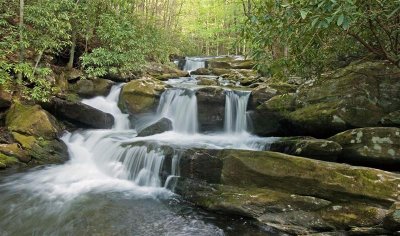Lynn Camp Prong Falls