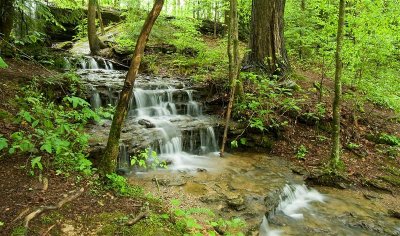 Burgess Falls SP