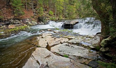 Tellico River