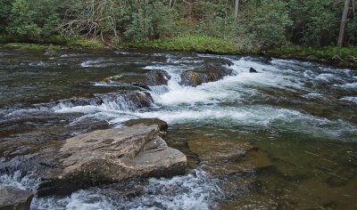  Tellico River