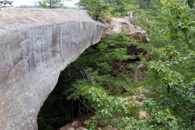 Sky Bridge