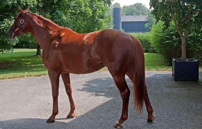 Claiborne Farms