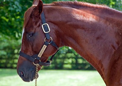 Claiborne Farms