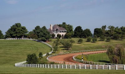 Lexington Horse Farm