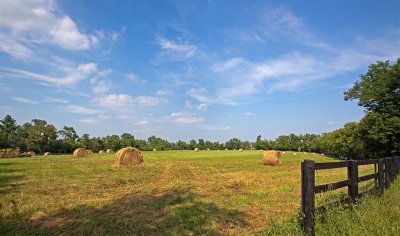 Hay Field, Lexington
