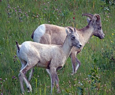 Kananaskis Country