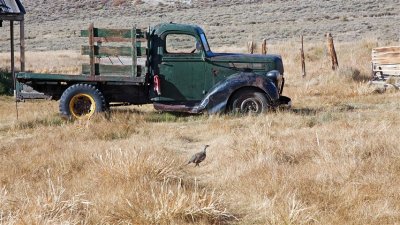 Bodie Ghost Town