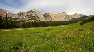 Bridger Canyon