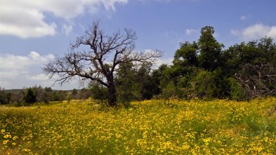 Wichita Mountains