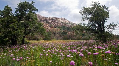 Wichita Mountains