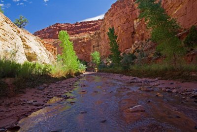 Sulphur Creek
