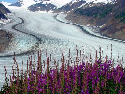 Salmon Glacier 3