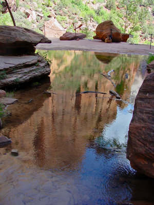 Emerald Pool Reflection