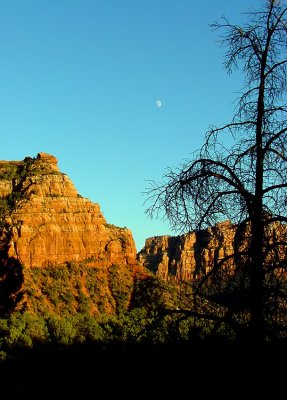 Sunset at Kolob Terrace