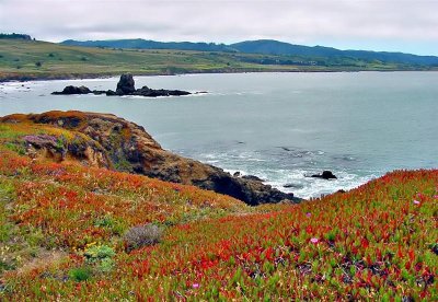 Pigeon Point, San Francisco